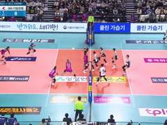 07.30(일) 16:00KOVO컵여 흥국생명 vs IBK기업