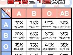 [커플 관찰 일지]