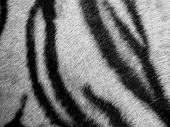 이씨들에게 비밀이 있다 20