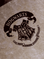 [해리 포터] 침착한 포터 양