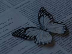 [더테일에이프릴풀스] Psyche°