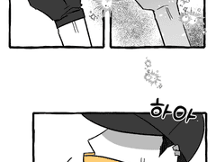 재회는 베베솔트를 잡았다?