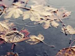 세상에서 제일 초라한 고백.