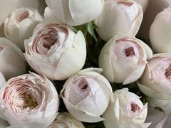 [소을]어느 아침