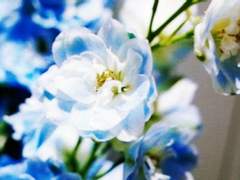 [토도로키 가] 「가족」2