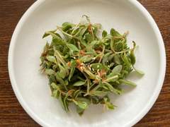 효자동과 돌나물