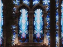 어두운 숲의 대성당