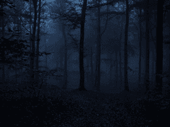 불운한 하루 보내.