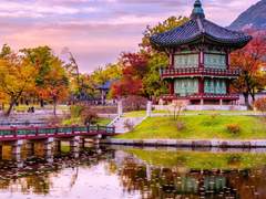 봄을 사랑한 겨울 - 1