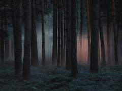 [ 그슨대 / 율야(栗夜) ]