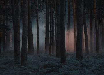 [ 그슨대 / 율야(栗夜) ]