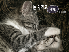 [태섭태웅] 눈 가리고 애옹!