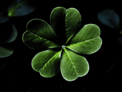 [제노사이]Phobia[2부]_Prologue