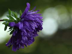 저, 사니와 맞습니다 : Ep. 14