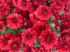 류사라 :: 프로필