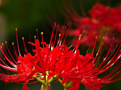 비하인드 및 TMI