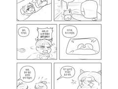 아기냥이 약 먹이기