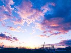 천, 연, 명 ( 天, 聯, 命 )