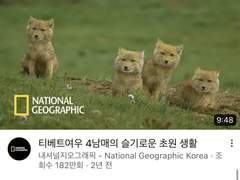 [태웅백호/루하나] 티벳여우 닮은 태웅이네 4형제 썰