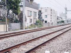 23년, 23일 일본 여행