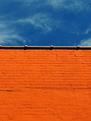 미싱 링크 Missing link