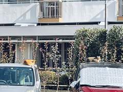 23년, 23일 일본 여행