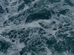 파도가 삼킨 말