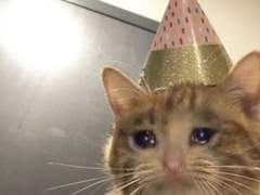 그니까 지금 너가 말하는 공주가 누군데 1