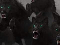 흩어져 살지 못할 이곳에서