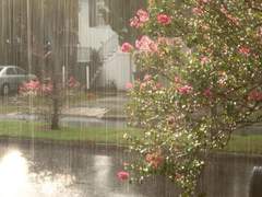 [은성수현] 여우비