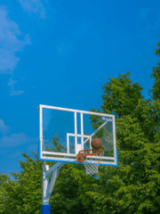 다시 시작되는 만남