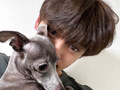 연하 강쥐 울리기