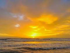 휴고 A. 캄파넬라/그리핀도르/머글본/XY