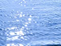 【Voxshu】 동쪽 기둥의 신사는 신부를 공양한다 中