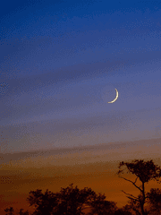 [사쿠우시] 서녘의 좌