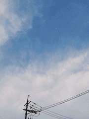 小さな恋のうた