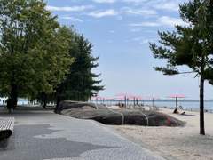 [토론토 여행] 3일차 - Old Toronto