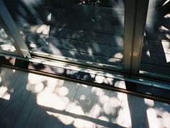 안개 낀 침엽수는 문을 열지 않고