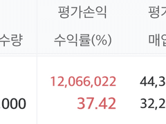 동진쎄미켐 수익률 공개 37.42%