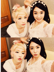 태니 칼윈 기반 크오