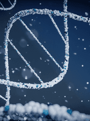 나의 히어로 아카데미아(자캐 이능력 설명)