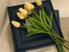 [소을]늦은 오후