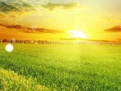 한겨울 밤의 몽상 - 지형