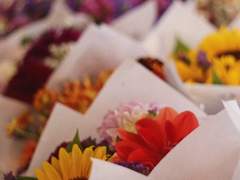 [소을]머리카락이 거슬려