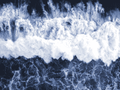 바다를 닮은 눈.