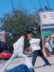 사고뭉치 아기 동물들