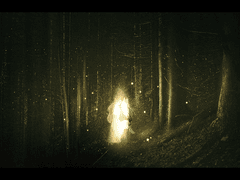 10월의 반딧불이