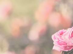 . . . 마음에는 어떤 소리가 들려?