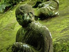 늦덕의 사반 2회독 후기