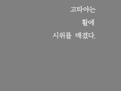 고타야는 화살을 시위에 메겼다.